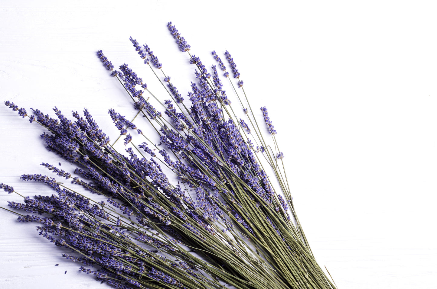 Dried Gros Bleu French Lavender