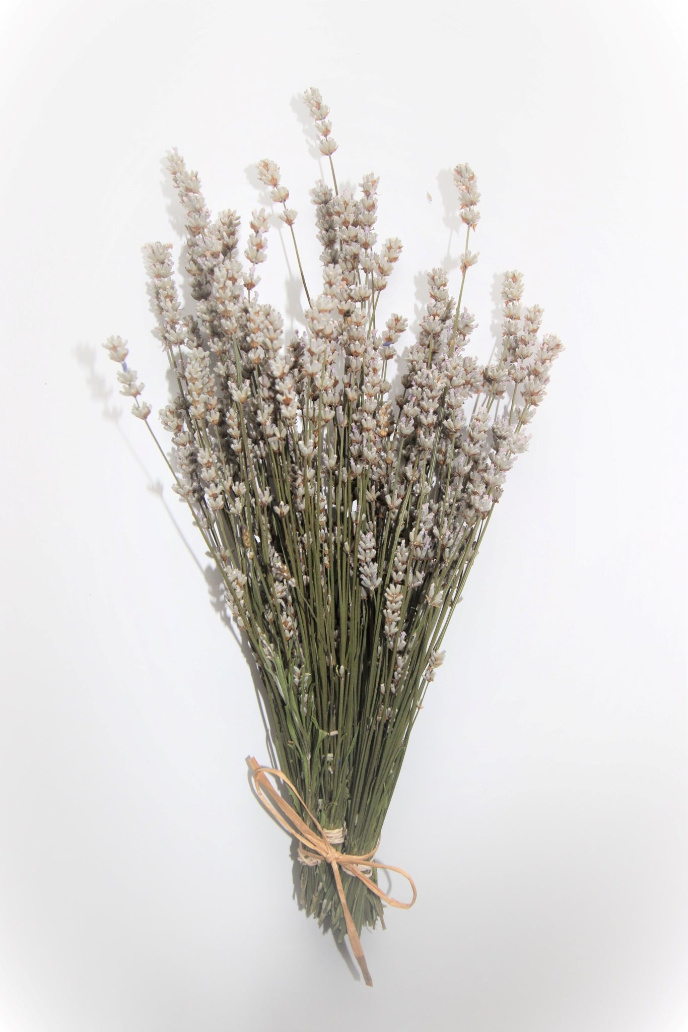 Dried Melissa English Lavender