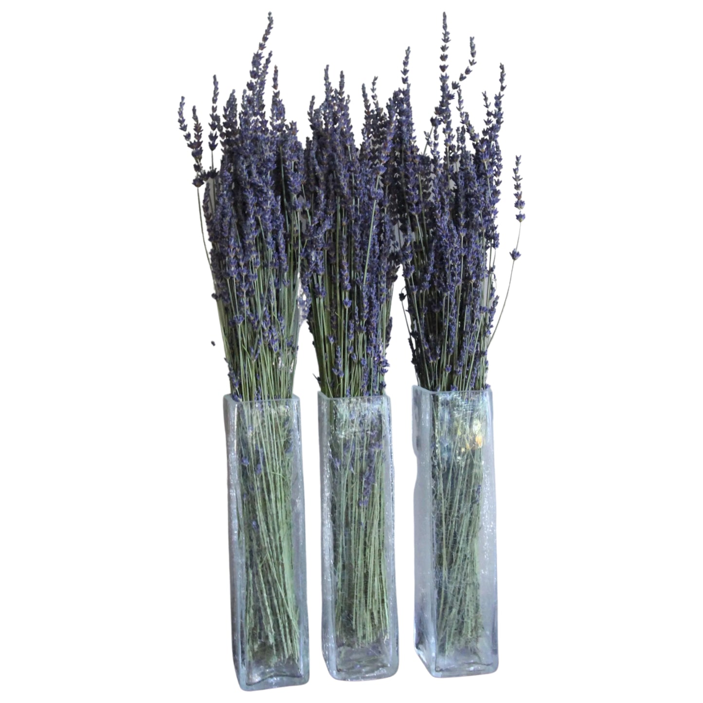 Dried Gros Bleu French Lavender