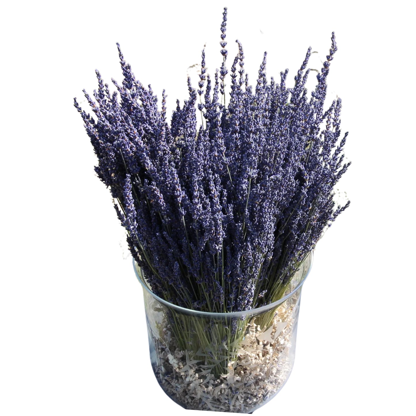 Dried Gros Bleu French Lavender