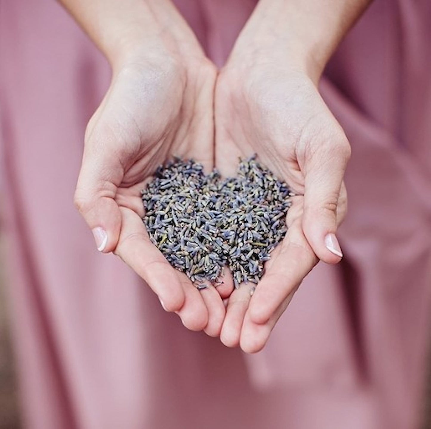 Fragrant Purple Wedding Toss