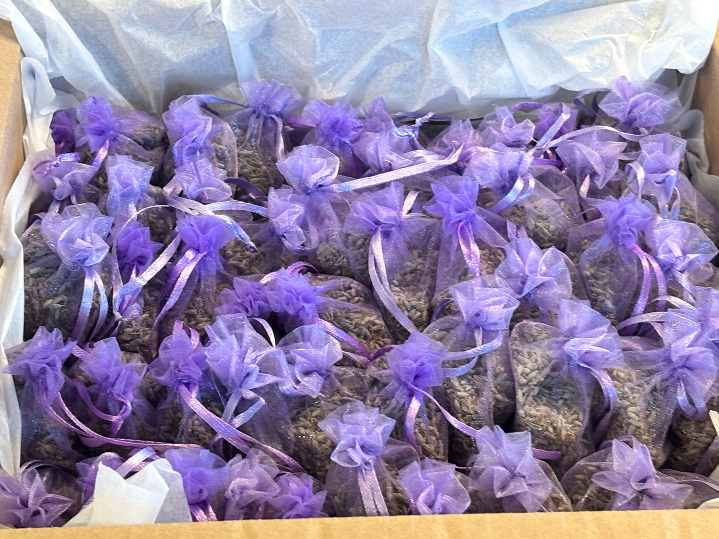 Wholesale Box of 100 small Lavender Sachets