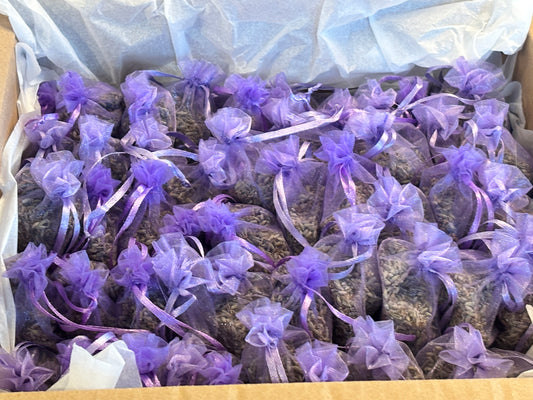 Wholesale Box of 100 small Lavender Sachets