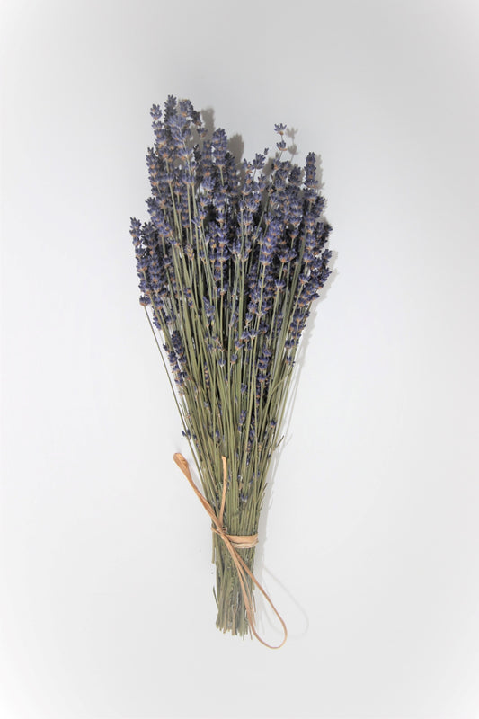 Dried Hidcote English Lavender