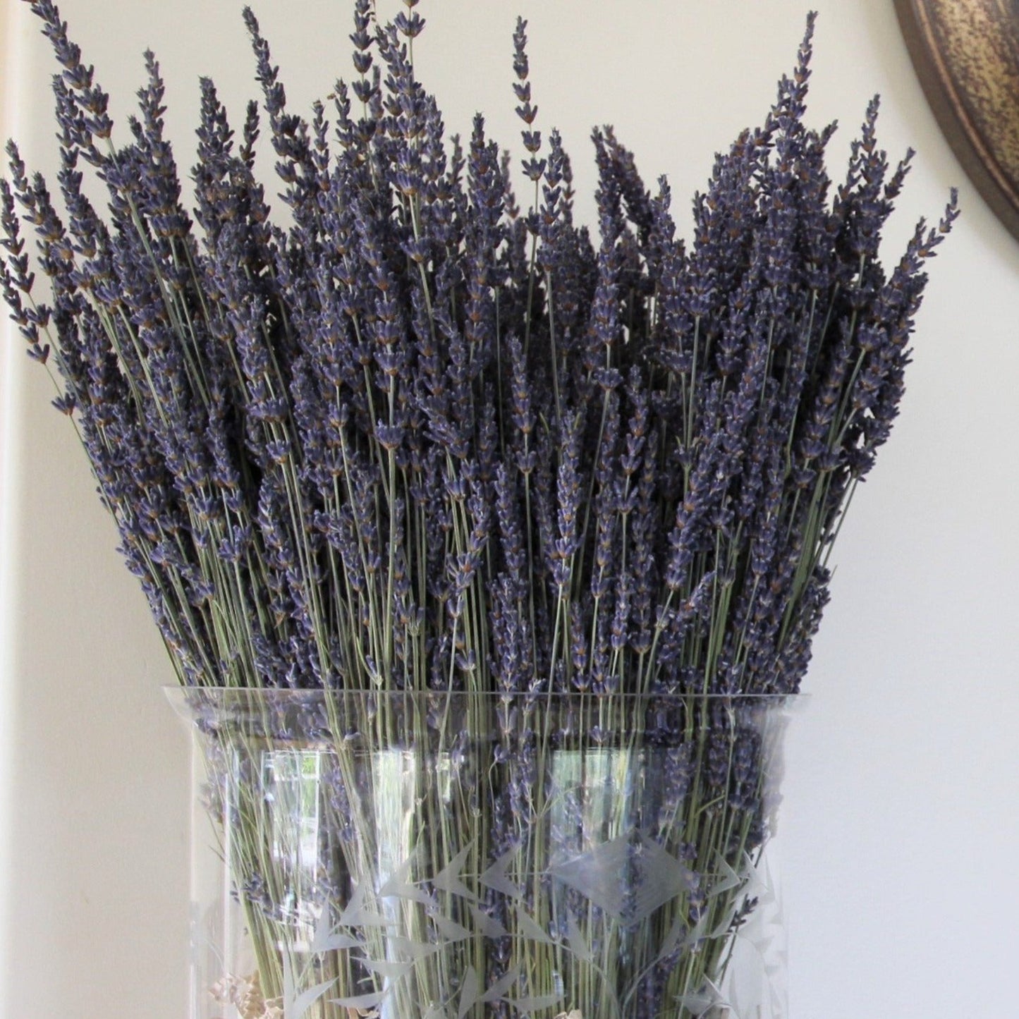 gros-bleu-french-lavender-in-vase