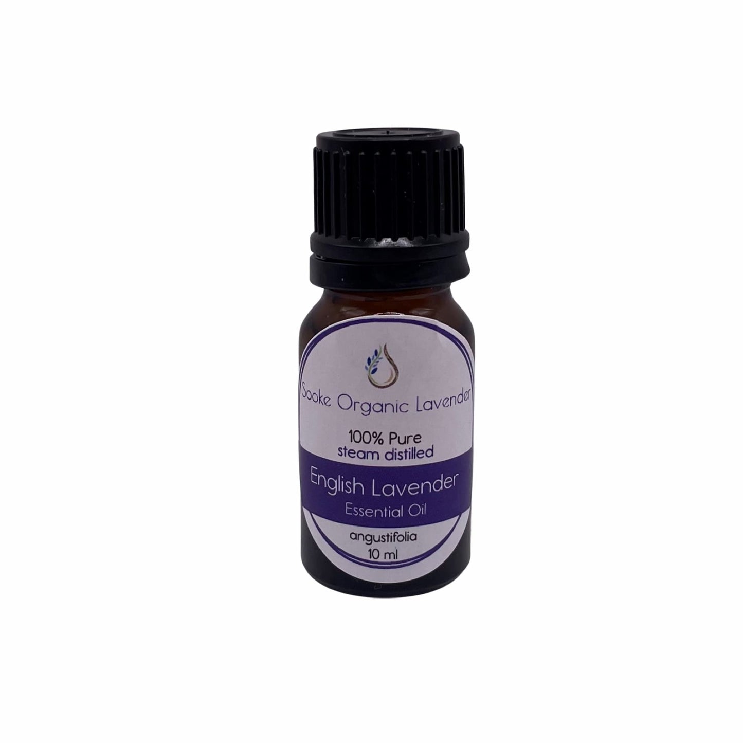 English Lavender Essential Oil