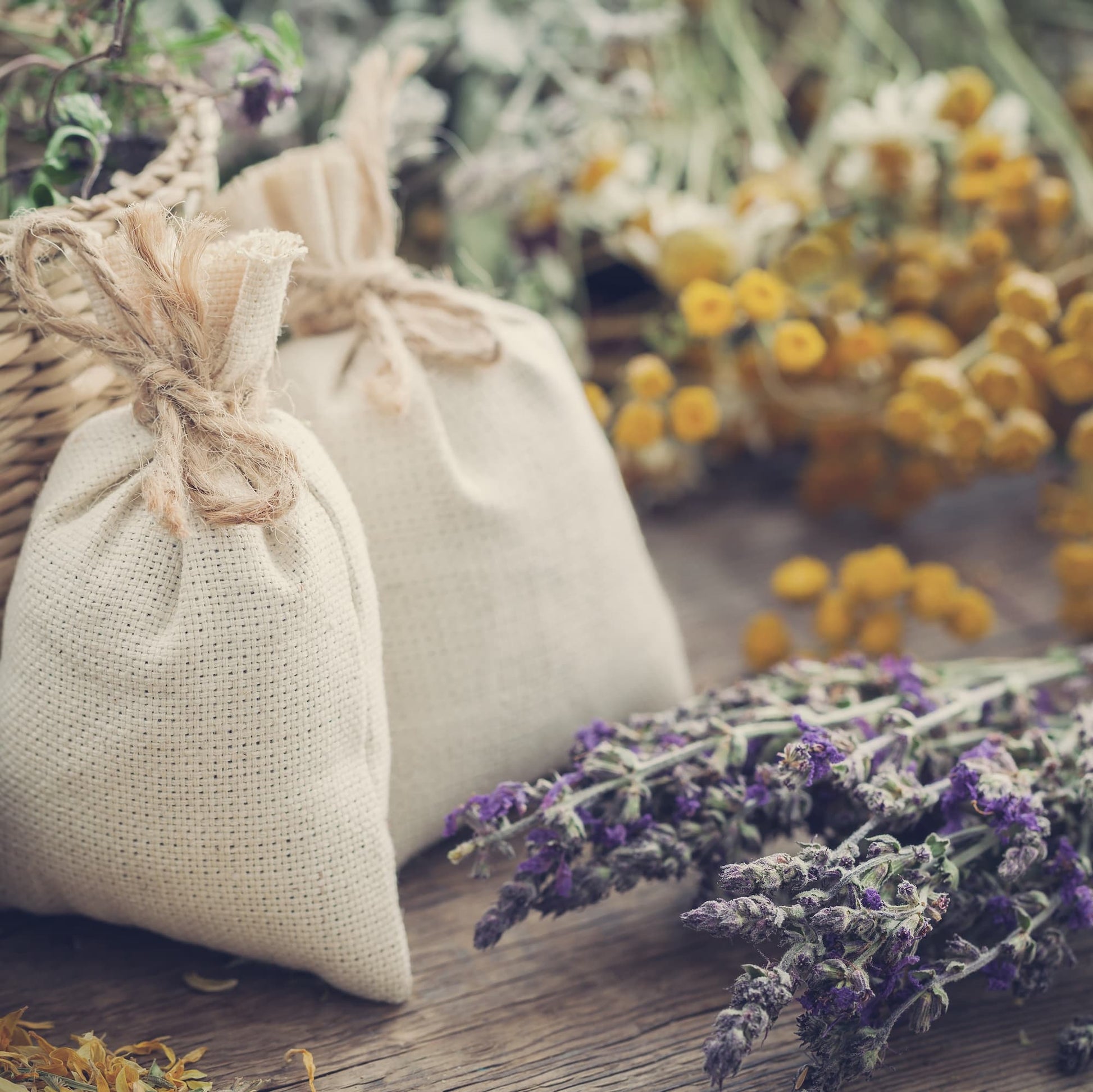 organic-lavender-buds-for-sachets